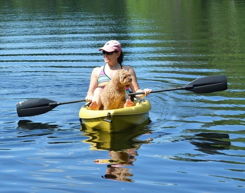 descente canoe avec un chien